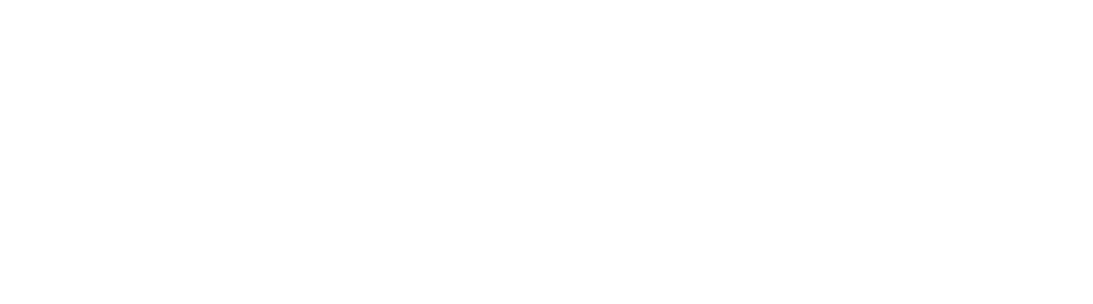 Cnig logo branco