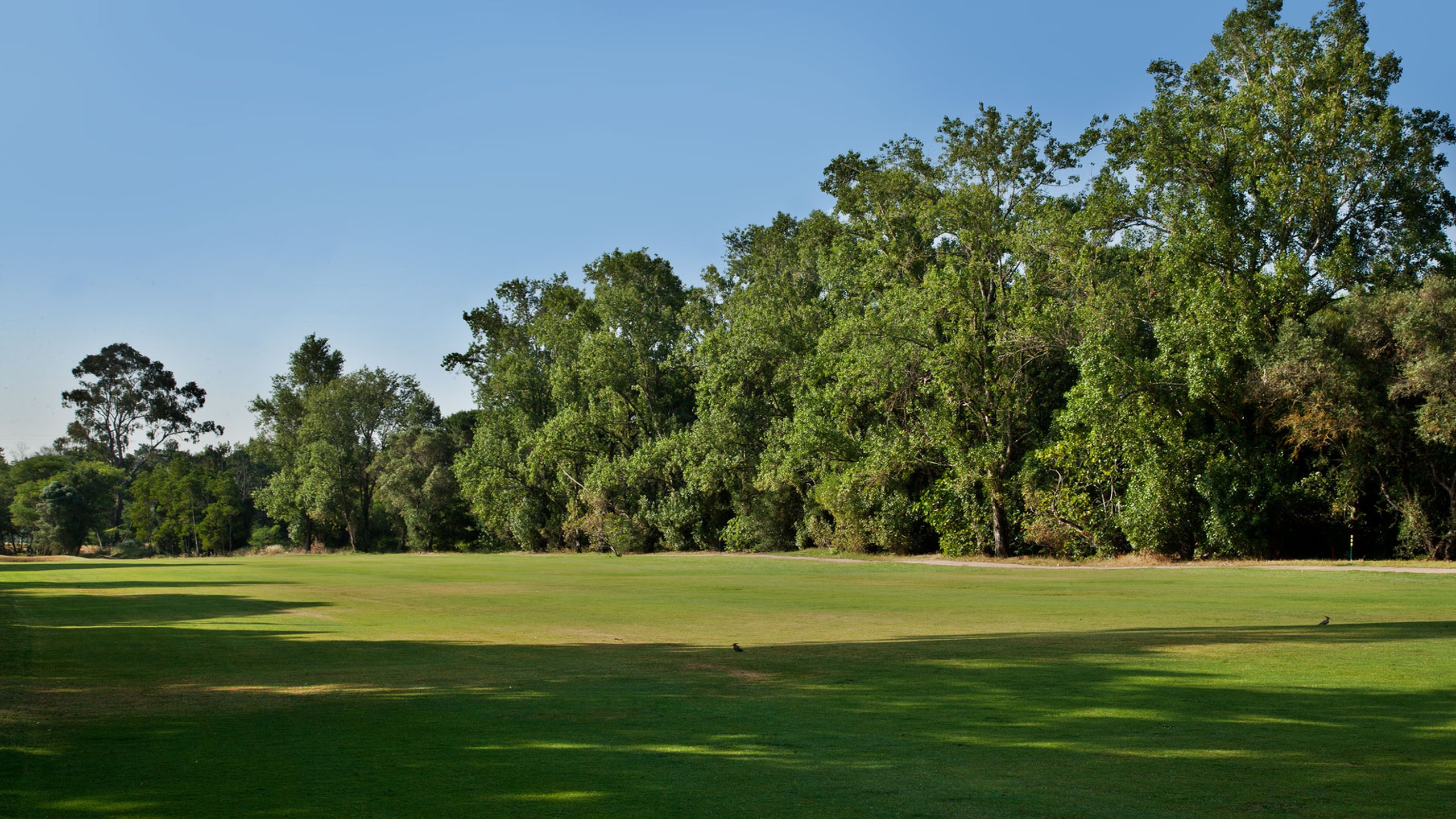 Golf Estoril