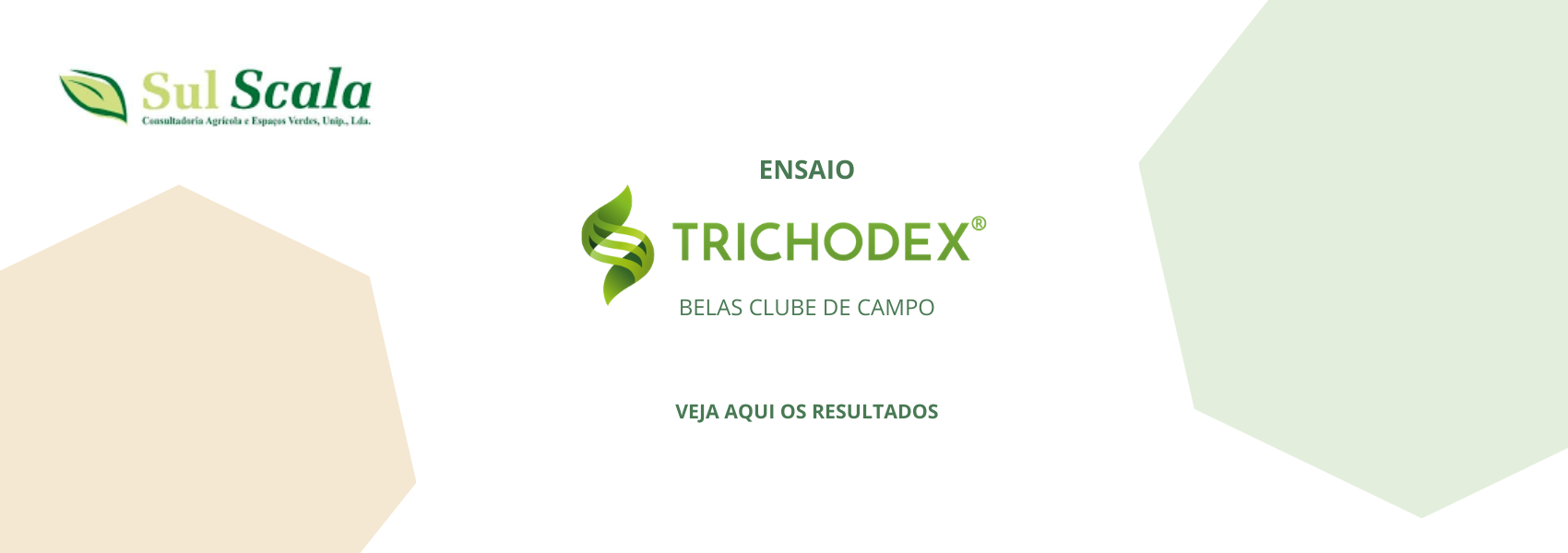 Ensaio Trichodex em Belas Clube de Campo